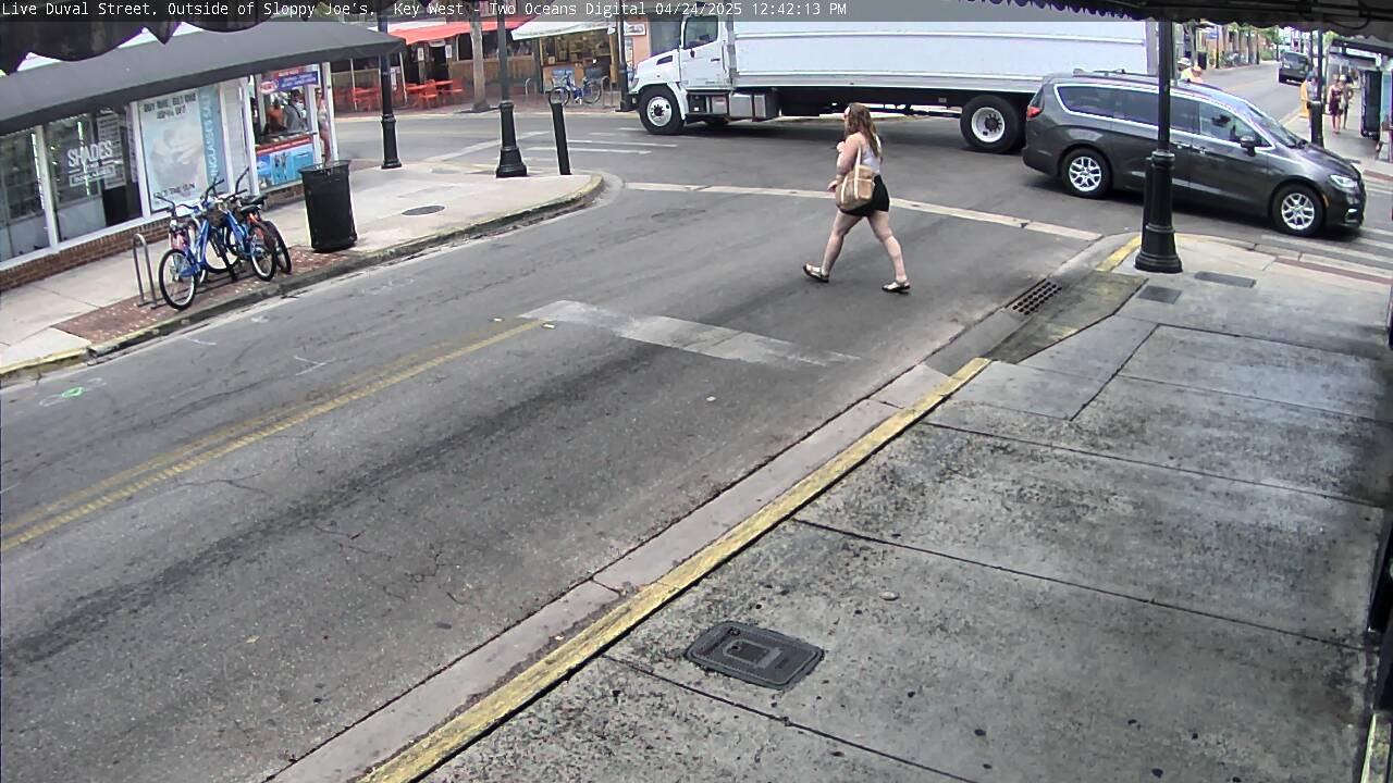 Image for 1242
