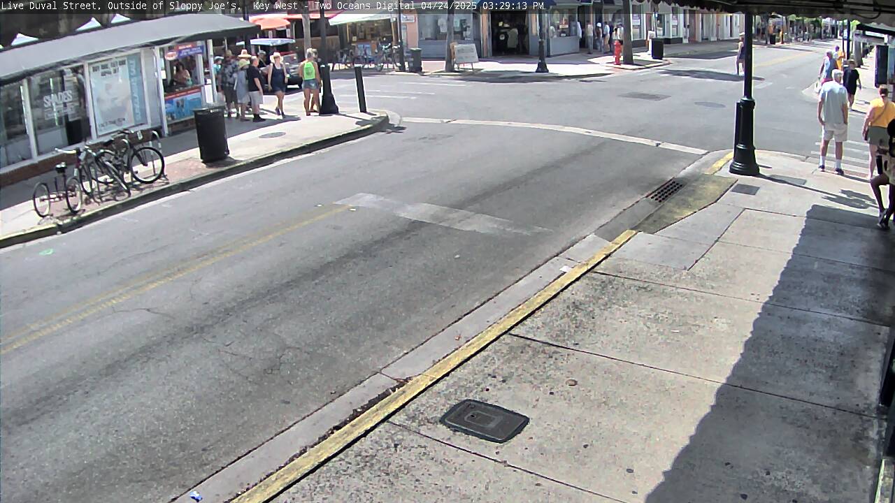 Image for 1529