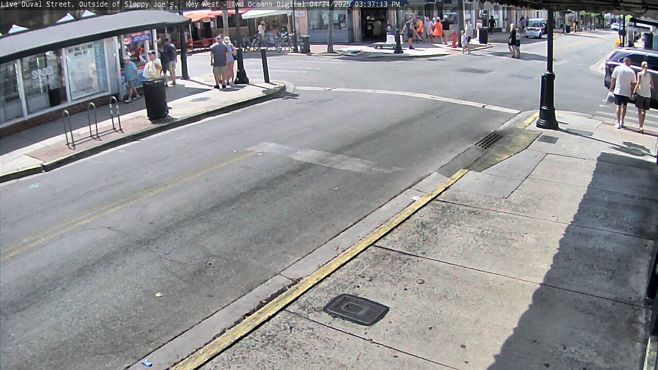 Image for 1537