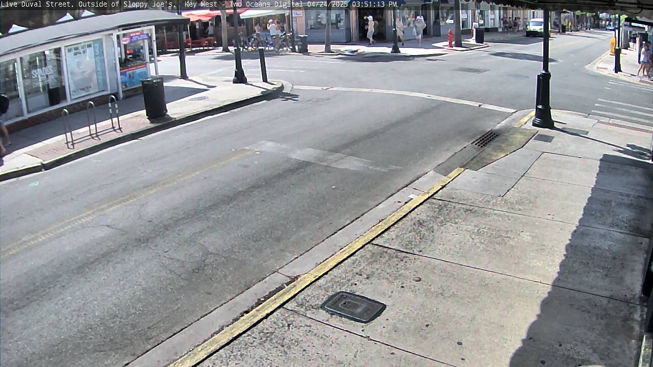 Image for 1551