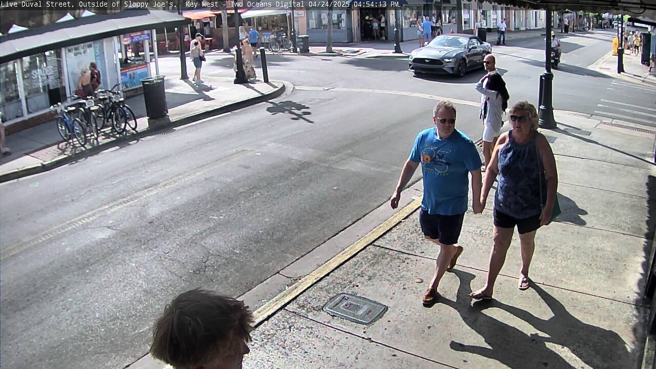 Image for 1654