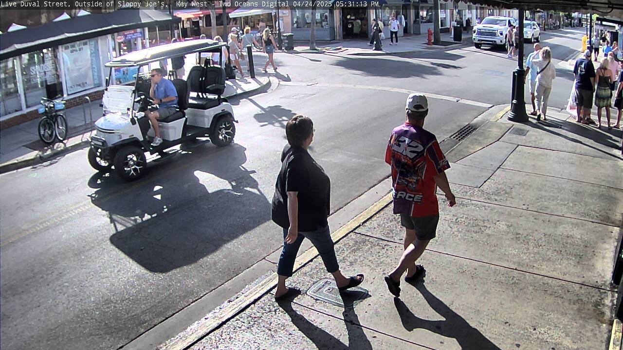 Image for 1731