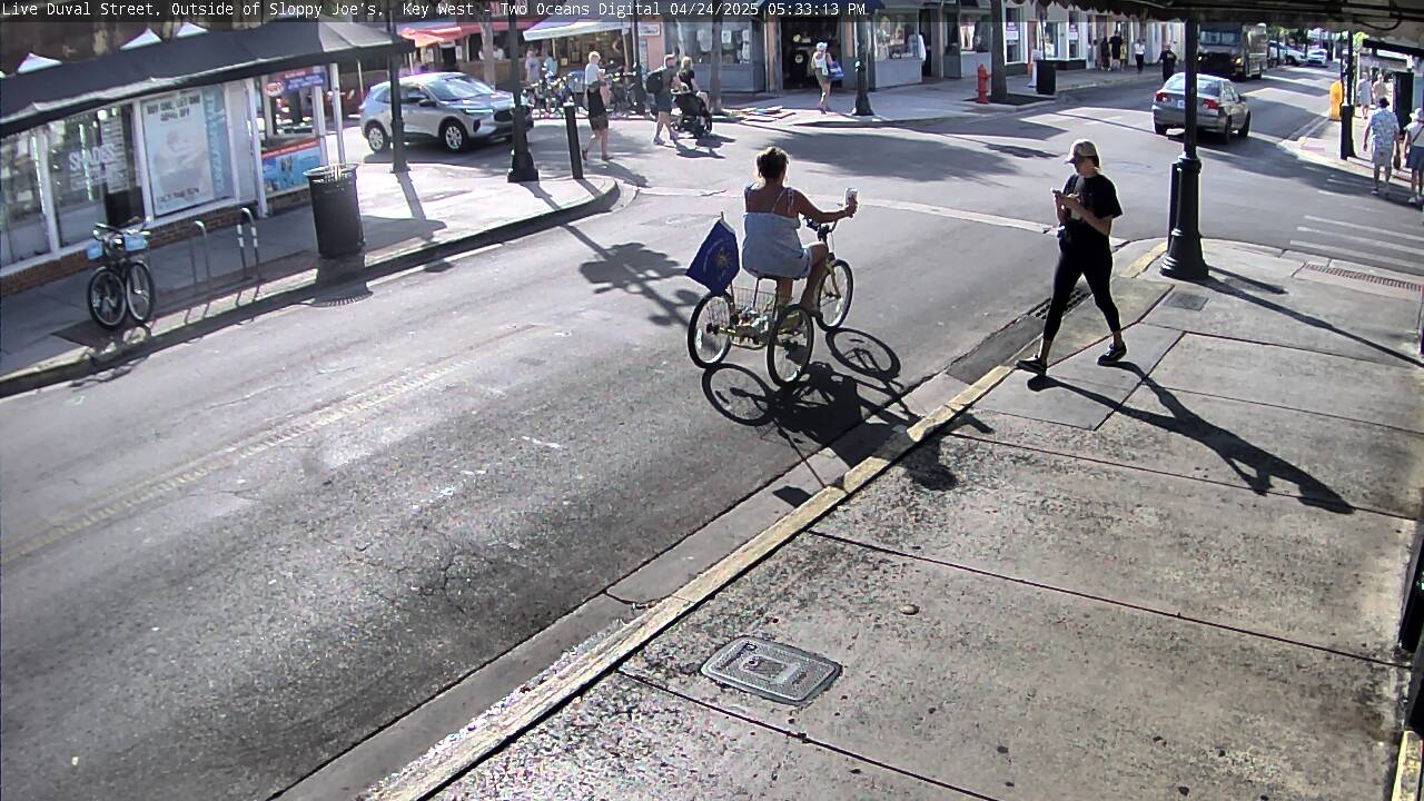 Image for 1733