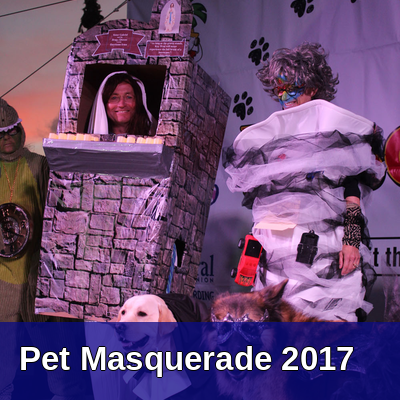 Pet Masquerade 2017 Gallery